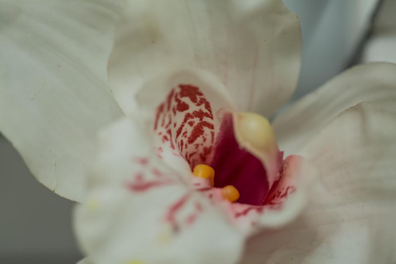 Iris Garden Retreat Aparthotel Corinth Luaran gambar