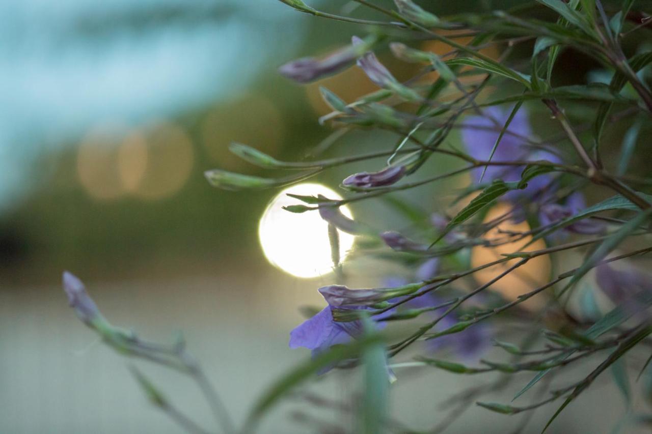 Iris Garden Retreat Aparthotel Corinth Luaran gambar