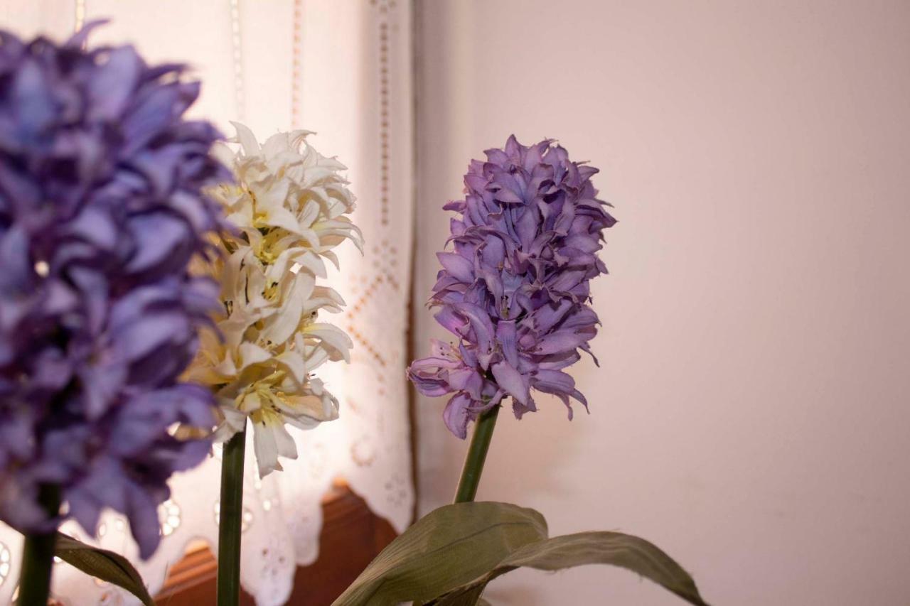 Iris Garden Retreat Aparthotel Corinth Luaran gambar